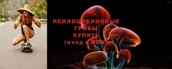 скорость Алзамай