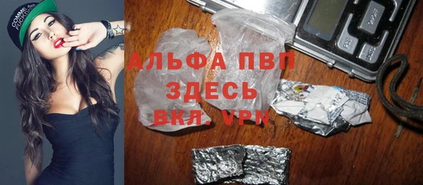 прущие грибы Пестово