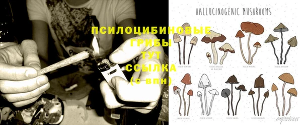 мескалин Пересвет