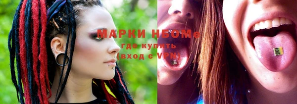 прущие грибы Пестово