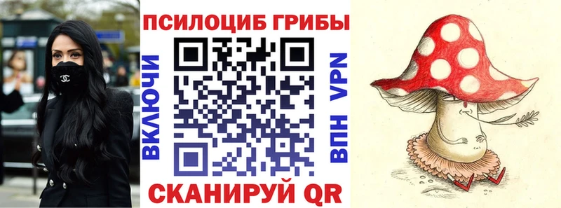 наркотики Кандалакша Галлюциногенные грибы прущие грибы